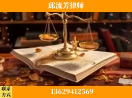 深圳-委托诉讼代理人出庭